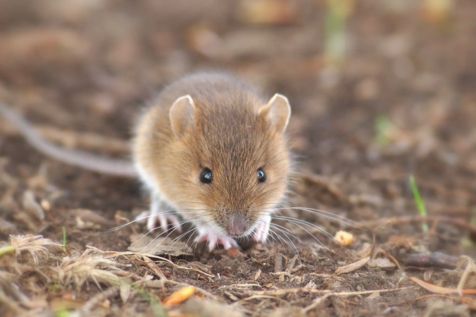2023年6月 飯田 様